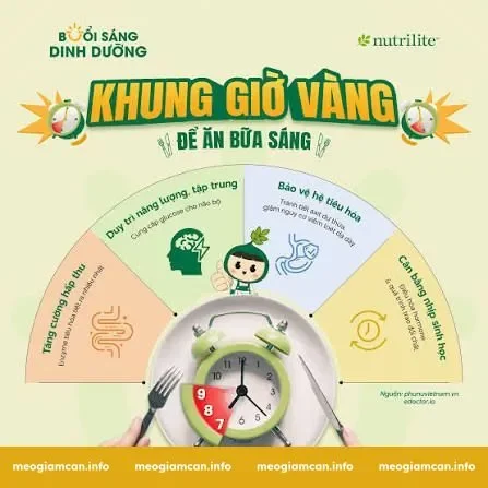 2. Meal Timing: Phân bổ bữa ăn theo khung giờ vàng