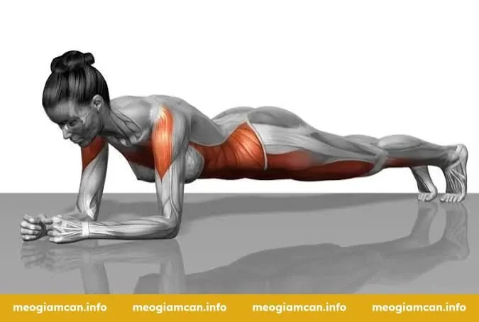 4 bài tập giảm cân đơn giản bạn nên thực hiện ngay