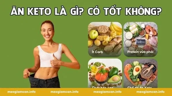 Nguyên Lý Hoạt Động Của Keto - Chuyển Hóa Mỡ Thành Năng Lượng