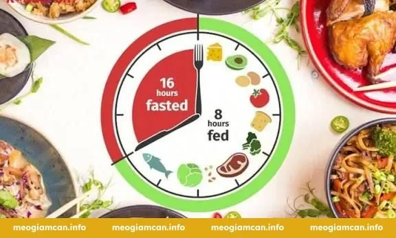 Câu hỏi thường gặp về nhịn ăn gián đoạn