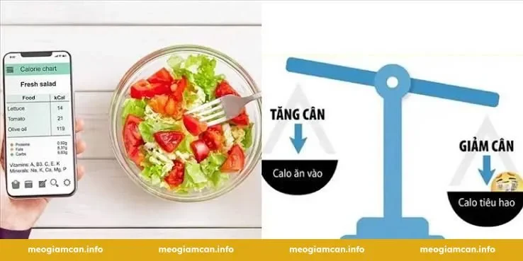 Công Thức Cách Tính Calo Giảm Cân Chính Xác Nhất