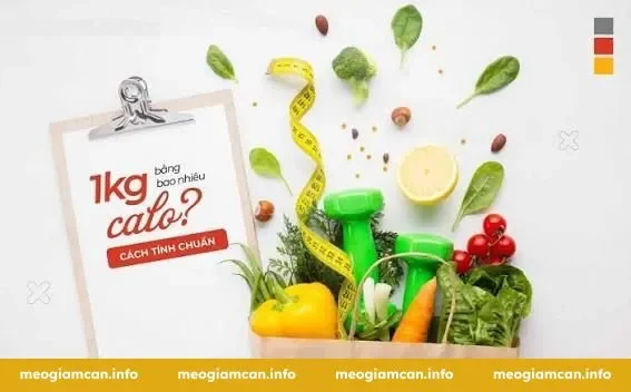 Điều Chỉnh Calo Khi Cân Nặng Không Giảm Nữa