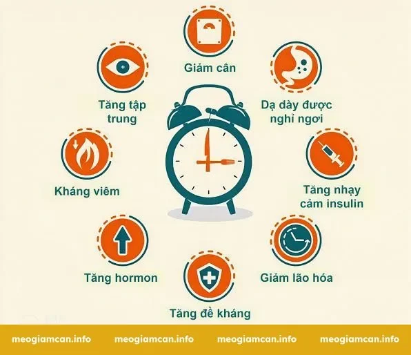 Hướng dẫn xây dựng thực đơn và kết hợp vận động