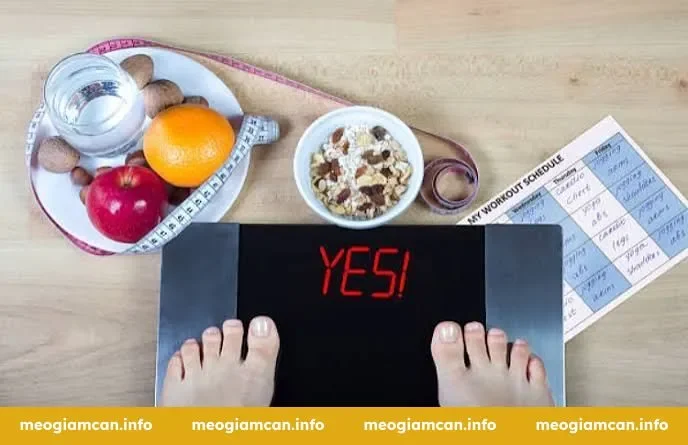 Phân Bổ Calo Theo Nhóm Chất Dinh Dưỡng